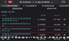 如何安全下载和安装PT钱包