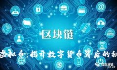 盐城查获虚拟币：揭开数