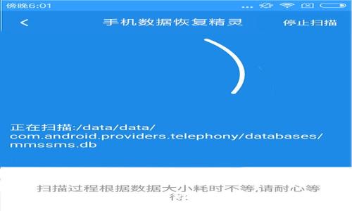 掌握波菜虚拟币：如何借助关键词提升投资回报率