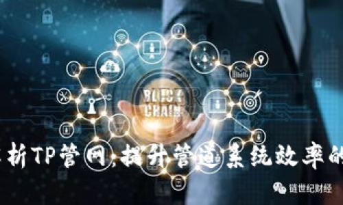 bianoti全面解析TP管网：提升管道系统效率的关键解决方案