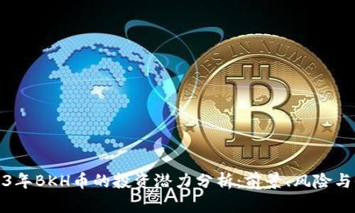 2023年BKH币的投资潜力分析：前景、风险与收益