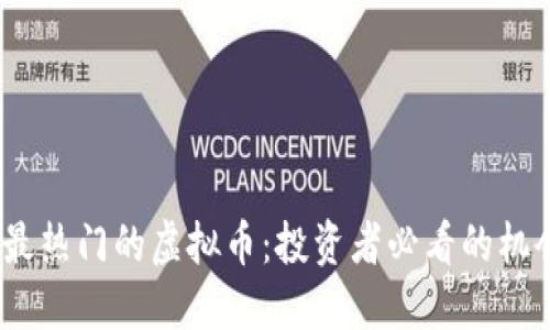 2023年最热门的虚拟币：投资者必看的机会与风险