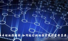 虚拟币蜡烛图解析：如何