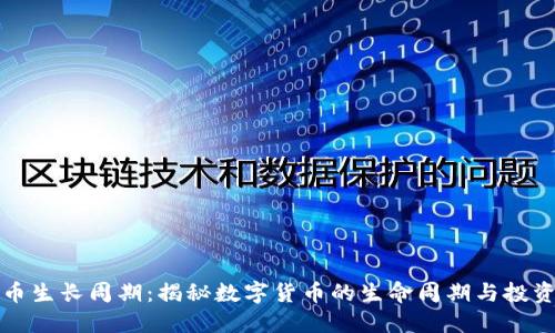 虚拟币生长周期：揭秘数字货币的生命周期与投资机会