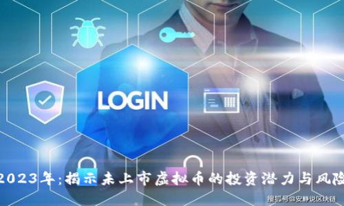 2023年：揭示未上市虚拟币的投资潜力与风险