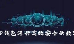 如何使用TP钱包进行高效安