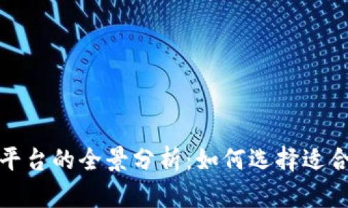 最大虚拟币平台的全景分析：如何选择适合你的交易所