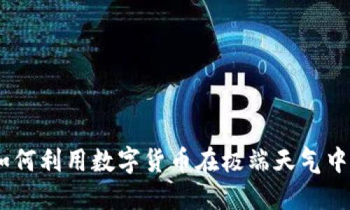 洪水虚拟币：如何利用数字货币在极端天气中实现投资增值