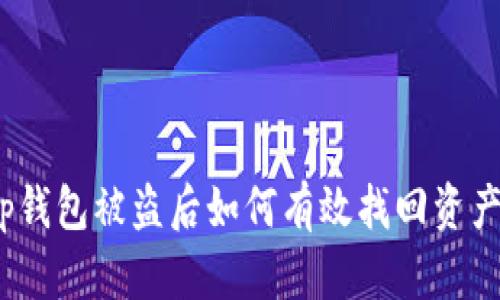 tp钱包被盗后如何有效找回资产？