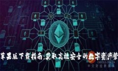 TP钱包苹果版下载指南：获