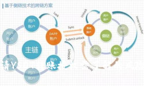 tpwallet申请YSDT转账授权需了解的风险与注意事项