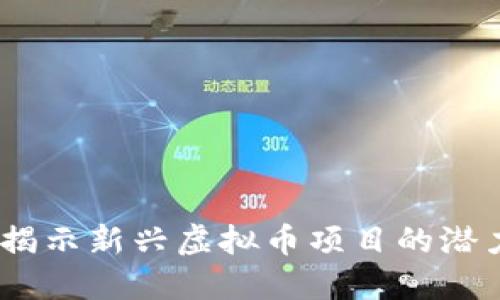 海王币：揭示新兴虚拟币项目的潜力与成就