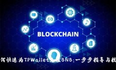 如何快速为TPWallet充值BN