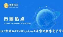 如何在TPWallet中添加FTM（