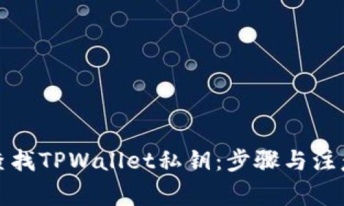 如何查找TPWallet私钥：步骤与注意事项