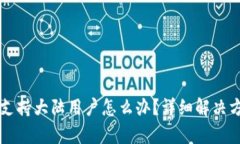 bytpwallet不支持大陆用户怎