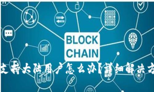 bytpwallet不支持大陆用户怎么办？详细解决方案与替代选择