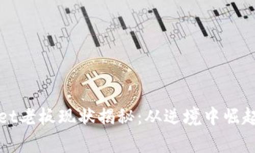 TPWallet老板现状揭秘：从逆境中崛起的故事