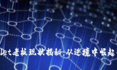 TPWallet老板现状揭秘：从逆
