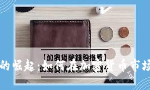 虚拟狗狗币的崛起：如何在加密货币市场中获得成功