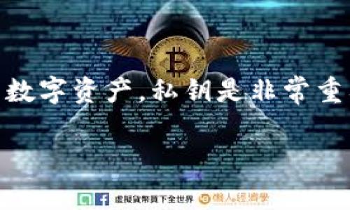 在讨论tpwallet导入私钥的相关问题之前，我们需要明白几个关键概念。tpwallet是一个用于管理加密货币的数字钱包，用户通常需要通过私钥来控制他们的数字资产。私钥是非常重要的，因为它是唯一可以让用户访问他们资金的凭证。任何人只要拥有你的私钥，就可以完全控制你的资产。因此，在导入私钥时的安全性和保护措施非常重要。

### tpwallet导入私钥的安全性与操作指南