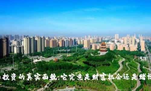 虚拟币投资的真实面貌：它究竟是财富机会还是赌博游戏？