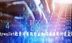 tpwallet投资项目跑路后如何
