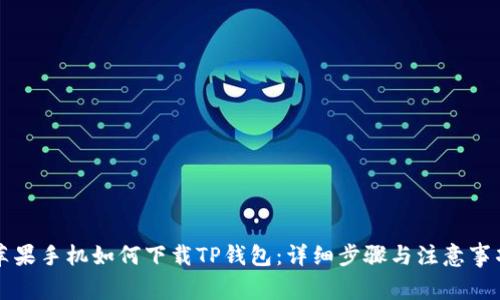 苹果手机如何下载TP钱包：详细步骤与注意事项