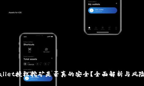 TPWallet授权挖矿是否真的安全？全面解析与风险评估