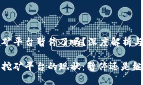 虚拟币挖矿平台暂停了吗？深度解析与最新动态

虚拟货币挖矿平台的现状：暂停还是继续？