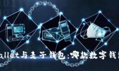 ### TPWallet与麦子钱包：哪