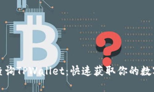 如何高效查询TPWallet：快速获取你的数字资产信息
