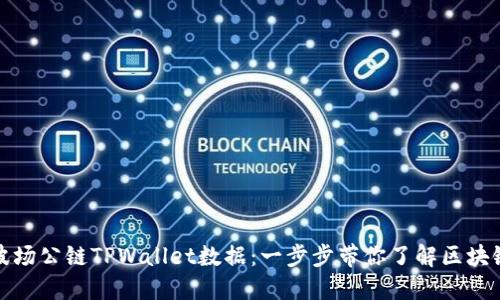 如何查看波场公链TPWallet数据：一步步带你了解区块链资产管理