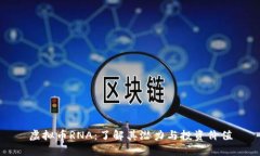 虚拟币RNA：了解其潜力与