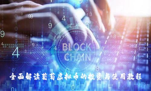 全面解读葡萄虚拟币的投资与使用教程