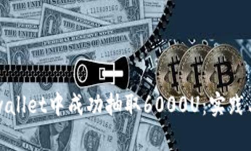 如何在tpwallet中成功抽取6000U：实践与技巧分享