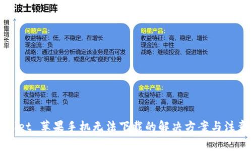 TPWallet 苹果手机无法下载的解决方案与注意事项