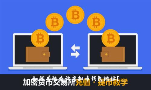 如何有效查询虚拟币钱包地址？
