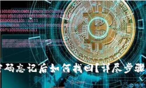 TPWallet密码忘记后如何找回？详尽步骤与技巧分享