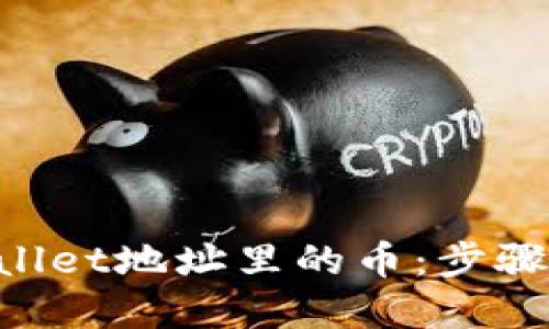 biliao智慧监控TPWallet地址里的币：步骤详解与实用工具推荐