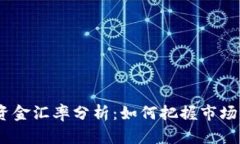 2023年虚拟币资金汇率分析