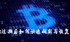 TPWallet过期后如何快速刷新与恢复使用教程