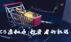 揭秘YCB虚拟币：投资者的