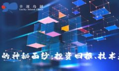 揭开AOA虚拟币的神秘面纱