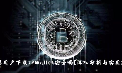 苹果用户下载TPWallet安全吗？深入分析与实用建议