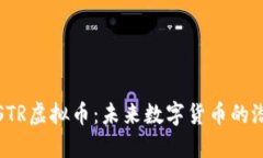 深入探索STR虚拟币：未来