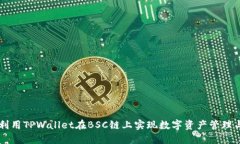 如何利用TPWallet在BSC链上实