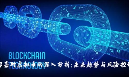 郭嘉对虚拟币的深入分析：未来趋势与风险控制
