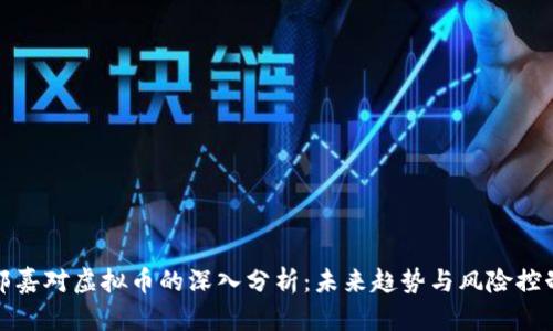 郭嘉对虚拟币的深入分析：未来趋势与风险控制
