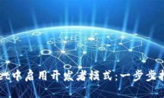 如何在TPWallet中启用开发者